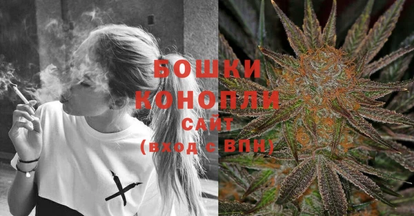 PSILOCYBIN Нея